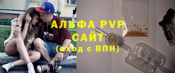 МДПВ Нея