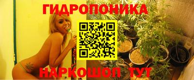 бошки Свободный