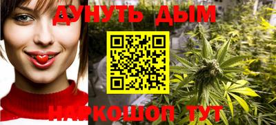 дмт Сланцы