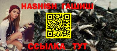 дмт Сланцы