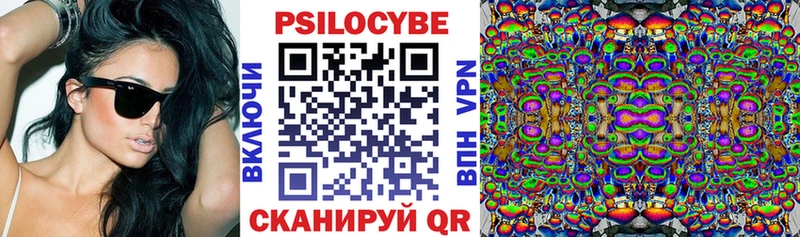 Галлюциногенные грибы мицелий  дарнет шоп  Георгиевск 