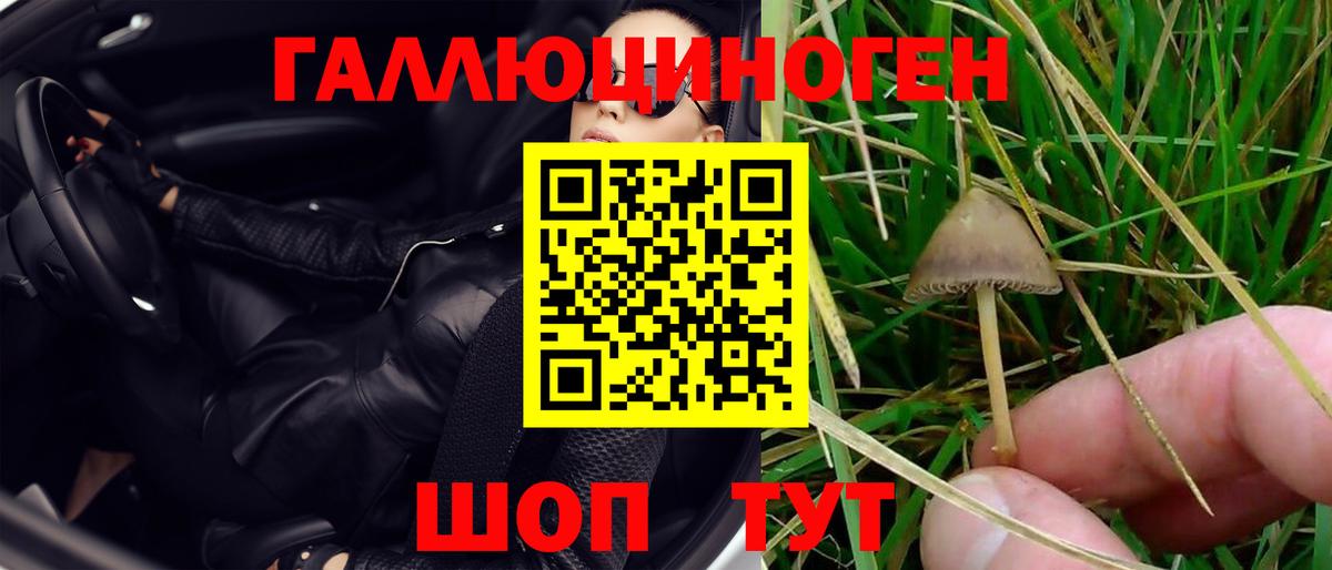 Галлюциногенные грибы GOLDEN TEACHER  Георгиевск  Галлюциногенные грибы Magic Shrooms 