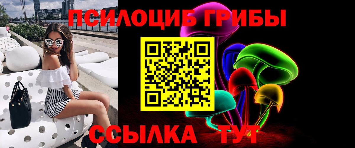 Псилоцибиновые грибы Psilocybe Георгиевск