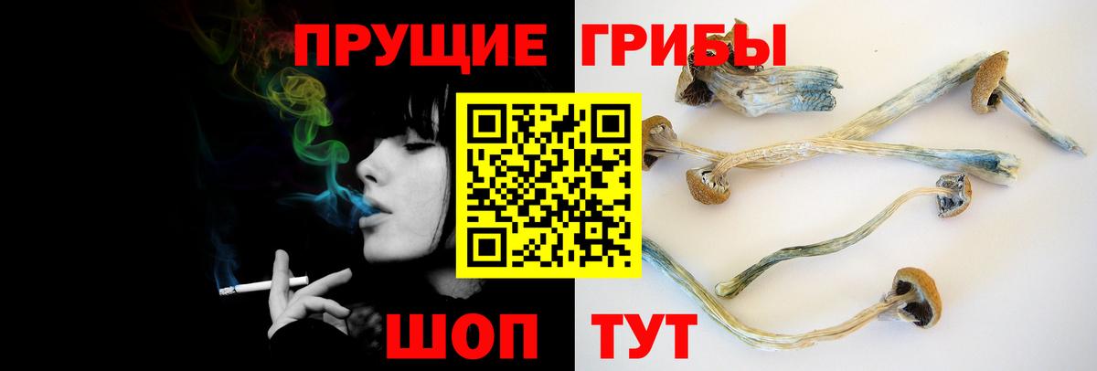 Галлюциногенные грибы Psilocybine cubensis  Вход с VPN  Георгиевск 
