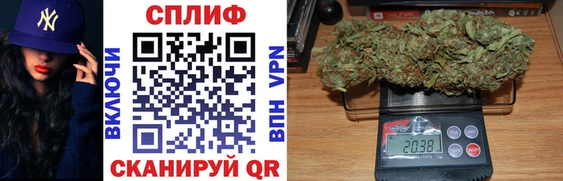 Конопля ГИДРОПОН  где продают наркотики  Георгиевск 
