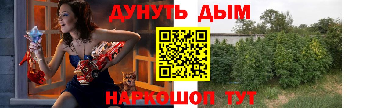 Бошки марихуана сатива Георгиевск